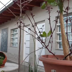 Negocio Hotel Windstar