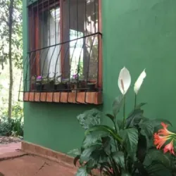 Negocio Jardín De Naipí