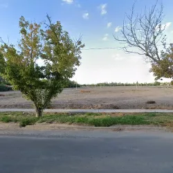 Negocio Jardín Secreto Russell Maipú