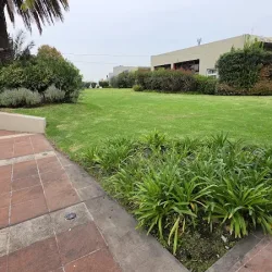 Negocio La Algodonera