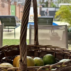 Negocio La Bella Vista Casa