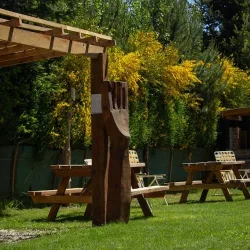 Negocio La Candelaria Meliquina