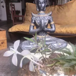 Negocio La Casa De Jujuy