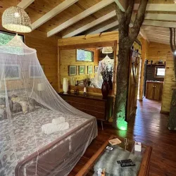 Negocio La Casa Del Arbol