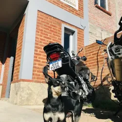 Negocio La Casita Hostel Boutique