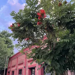Negocio La Casona || Apart Hotel Caá Catí