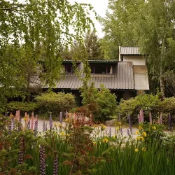 Negocio La Casona De Odile Hostel