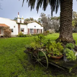 Negocio La Irene Casa De Campo