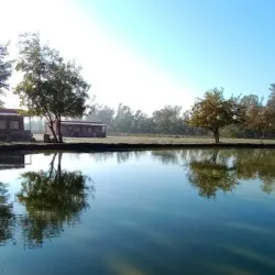 Negocio La Justina - Nuestro Campo