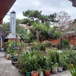 La Linda Vecindad Hostel Bs. As.