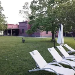 Negocio La Mancha Verde