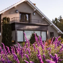 Negocio La Nature - Hosteria Boutique