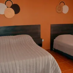 Negocio La Paquita Hotel