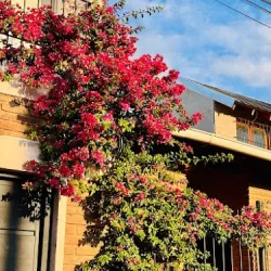 Negocio La Posada De Lety