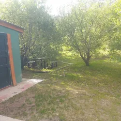 Negocio La Protegida