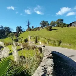 Negocio La Providencia