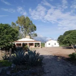 Negocio La Vaca Tranquila