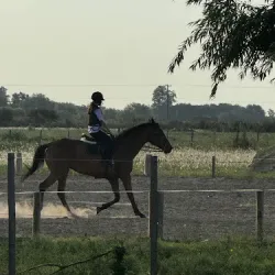 Negocio La Victoria Ranch Horse