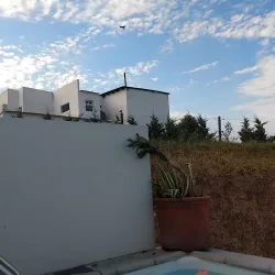 Negocio Laguna De Celis