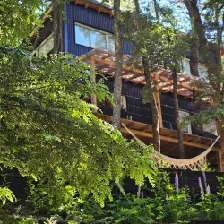 Negocio Las Amapolas