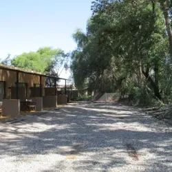 Negocio Las Cardas Posada