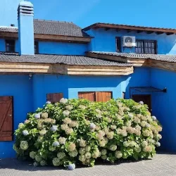 Negocio Las Hortensias