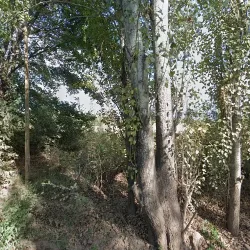 Negocio Le Terrada Suites Brunch & Breakfast