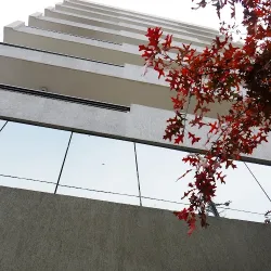 Negocio Like Home 11