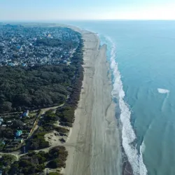 Negocio Liwen Apartamentos De Playa