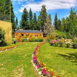 Negocio Lodge Ananda
