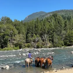 Negocio Lodge La Confluencia