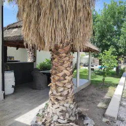 Negocio Loft & Wines Apart