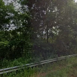 Los Anchicos Cabañas