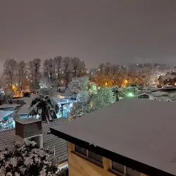 Negocio Los Carolinos Departamentos