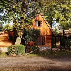 Negocio Los Plátanos Cabañas & Suites