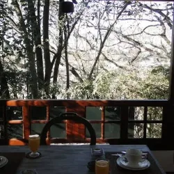 Negocio Los Tarcos Guest House