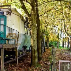 Negocio Los Vagones De Areco