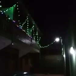 Negocio Madre Selva Iguazu