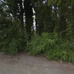 Negocio Mansion Verde