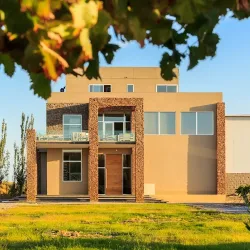 Negocio Marale Wines