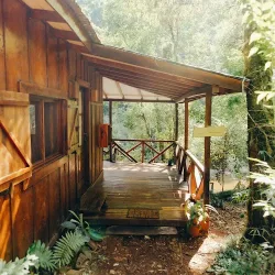 Negocio Margay - Reserva Natural & Lodge De Selva