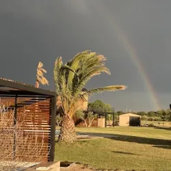 Martyniuk Lodges & Vineyards