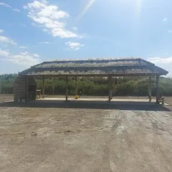 Negocio Mendoza Is Life