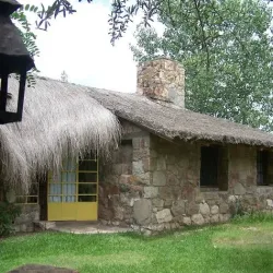 Negocio Menta Y Peperina