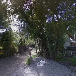 Negocio Mi Lugar En El Mundo