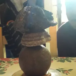 Micasaestucasa Hostel