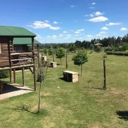 Milagros De San Pedro