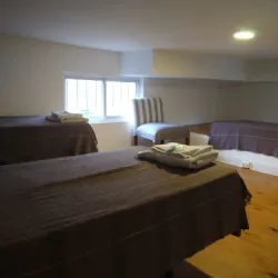 Negocio Mio Amore Tigre