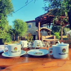 Negocio Montañas Del Sol