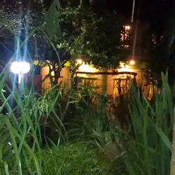 Negocio Myhotel Eco Lodge